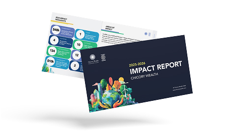 imapct_report_mockup 1